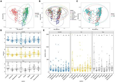 Developing stable, simplified, functional consortia from Brachypodium rhizosphere for microbial application in sustainable agriculture